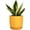 Gloss Yellow, variant on Ceramic Pot for Plants Indoor Outdoor Large Planter Pot with Drainage Hole and Saucer Mid-Century Modern Flower Pot Cylinder