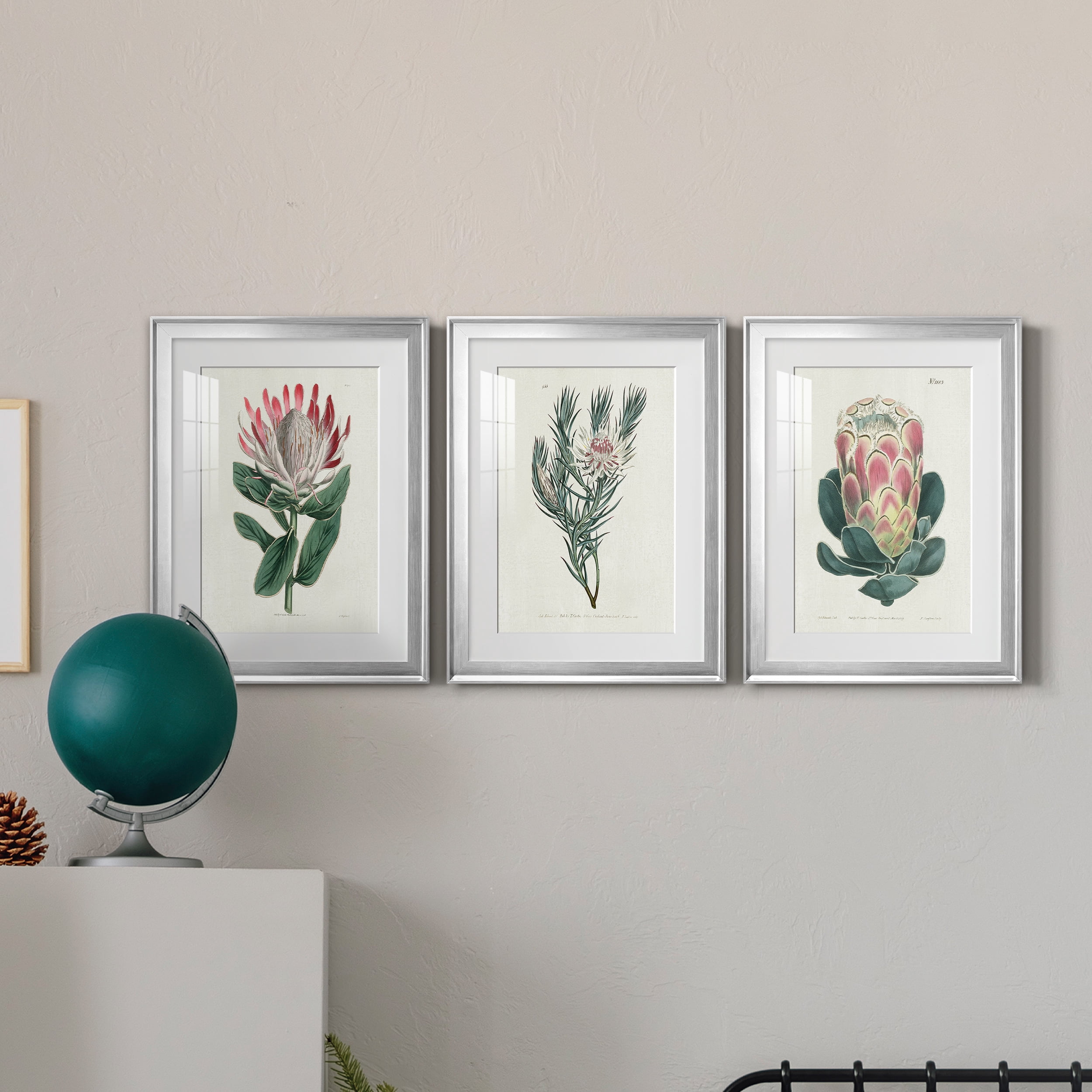 Protea N13 Premium Framed Prints Set of 3 - Ready to Hang - 18 x 24 Each - Silver Frame