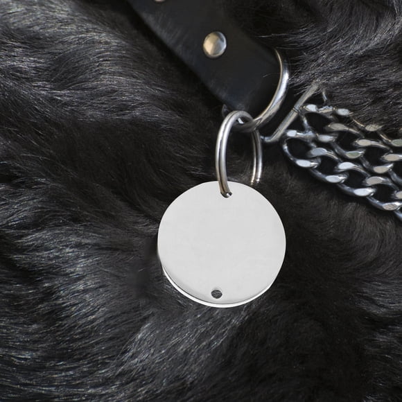 LOLIPPYY 6Ud Etiquetas De Inoxidable Para Mascotas Con Para Grabado Personalizado