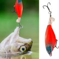thumbnail image 4 of Ettsollp 7.5CM/6G 9CM/11G Fishing Lure with Sharp Hook Realistic 3D Eyes Topwater Floating Artificial Metal Hard Bait Outdoor Fishing Accessories, 4 of 8