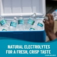 thumbnail image 4 of Zephyrhills Florida Spring Water, 16.9 fl oz, 32 Pack Plastic Bottles, 4 of 9