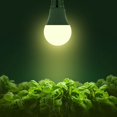 thumbnail image 2 of Bombilla LED de cultivo Briignite A19 de espectro completo, 11 W, paquete de 2, 2 of 8