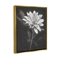 thumbnail image 3 of Stupell Industries Blooming Dahlia Flower Black Background Painting Metallic Gold Floating Framed Canvas Print Wall Art, Design by Nina Blue, 3 of 8