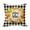 C.C, variant on 18x18 Inch Thanksgiving Pillow Cover - Plaid Pumpkin Velvet Sham for Sofa/Car/Bed, Hidden Zipper Closure (Insert Not Included) D