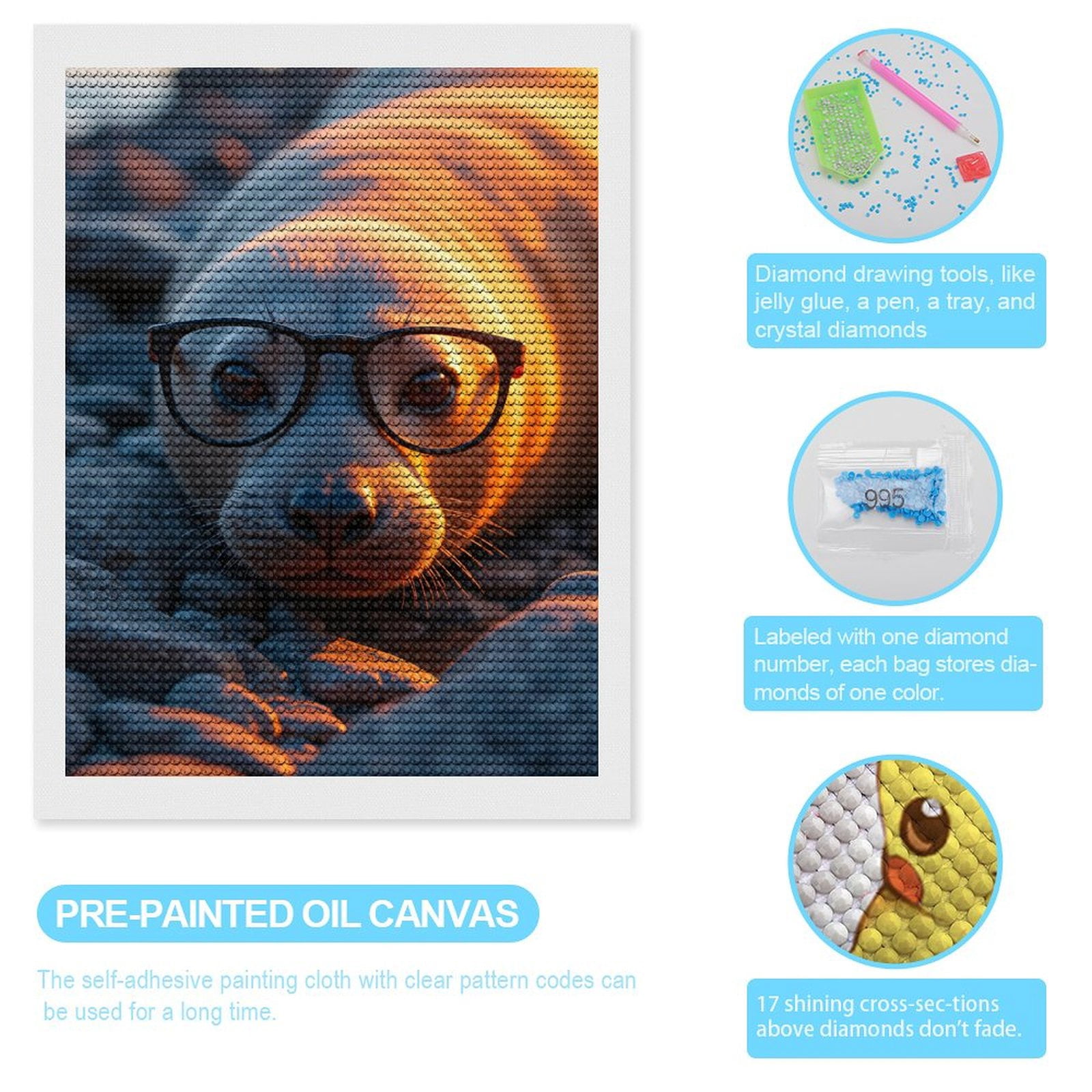 Diamond Art Kits for Adults, Seal Glasses Sunset Rocks Cute 5D Diamond Painting Kits for Adults Beginners, DIY Full Drill Diamond Painting, Gem Art and Crafts 12x16
