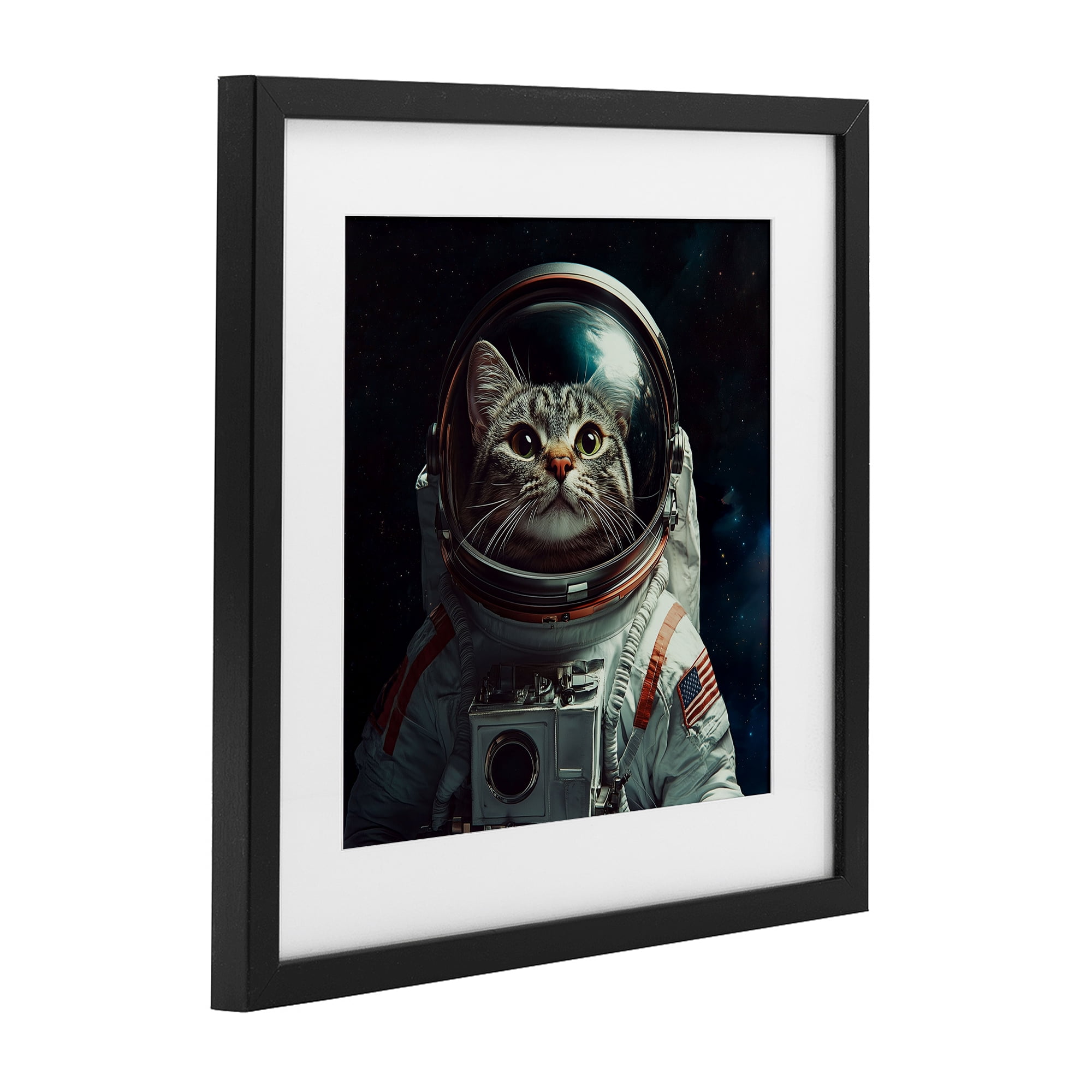 Catstronaut Cat Astronaut Black Framed Print Under Glass, design by Jim Baldwin