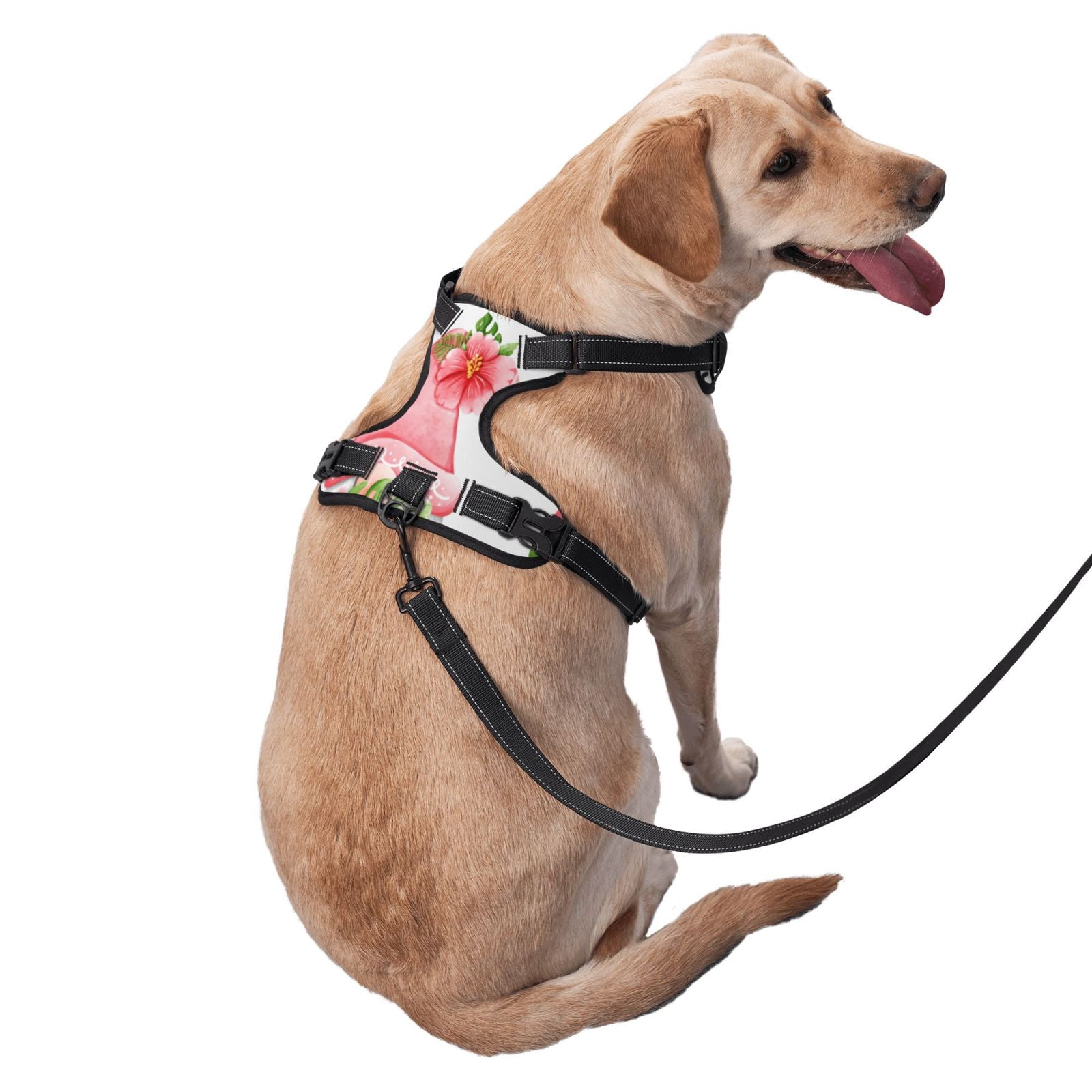 Vsdgher Hello Summer Gnome Pattern Dog Harness,No Pull Pet Harness with Soft Padded Handle,Adjustable Reflective Vest with 2 Buckles,4 Slide Buckles,S-XL Large