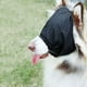 thumbnail image 3 of Máscara para ojos con gorro calmante para perros, máscara para la ansiedad de las mascotas, bozal con cuello de gato con sombreado de nailon para el cuidado del coche, bozal para l, 3 of 5