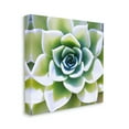 thumbnail image 3 of Stupell Green Succulent Nature Close Up Botanical & Floral Photography Gallery Wrapped Canvas Print Wall Art, 3 of 7