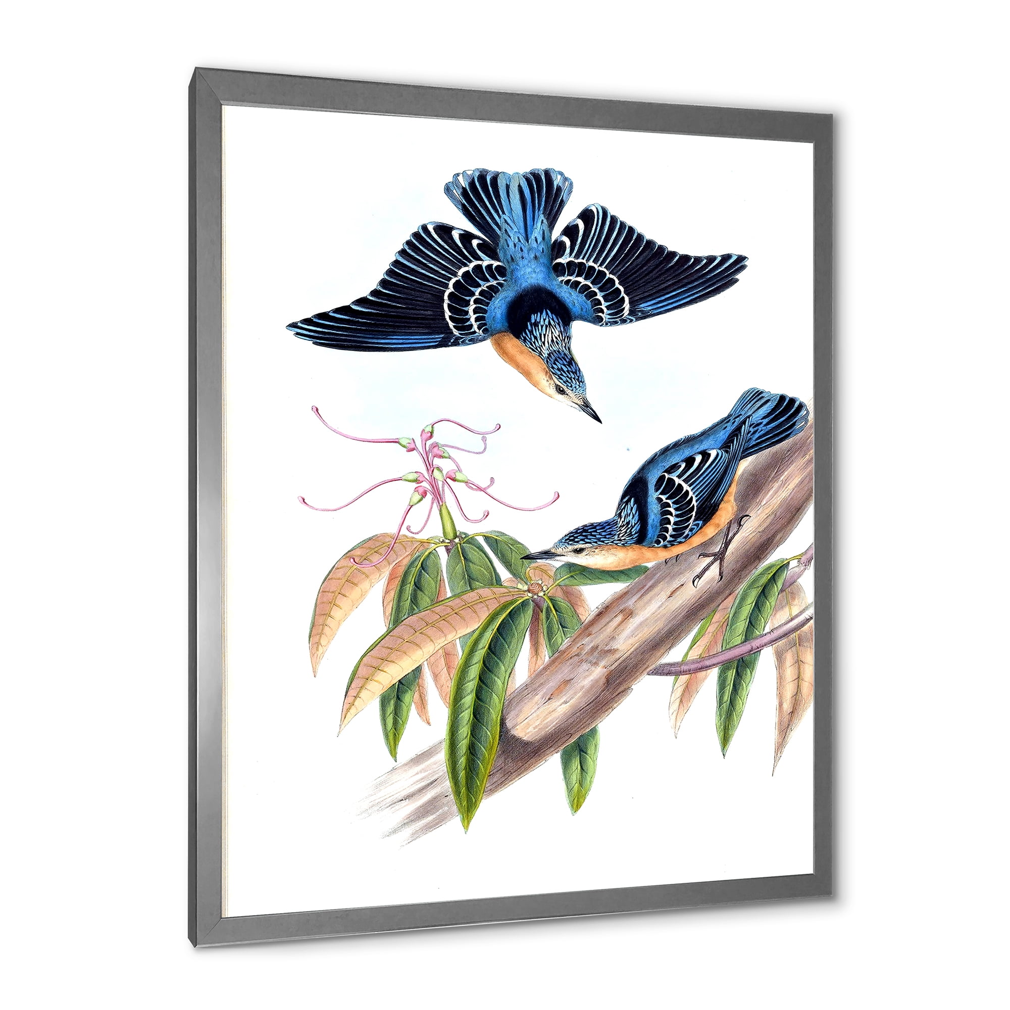 Designart 'Vintage Countryside Birds On Branch V' Farmhouse Framed Art Print