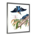 thumbnail image 2 of Designart 'Vintage Countryside Birds On Branch V' Farmhouse Framed Art Print, 2 of 4