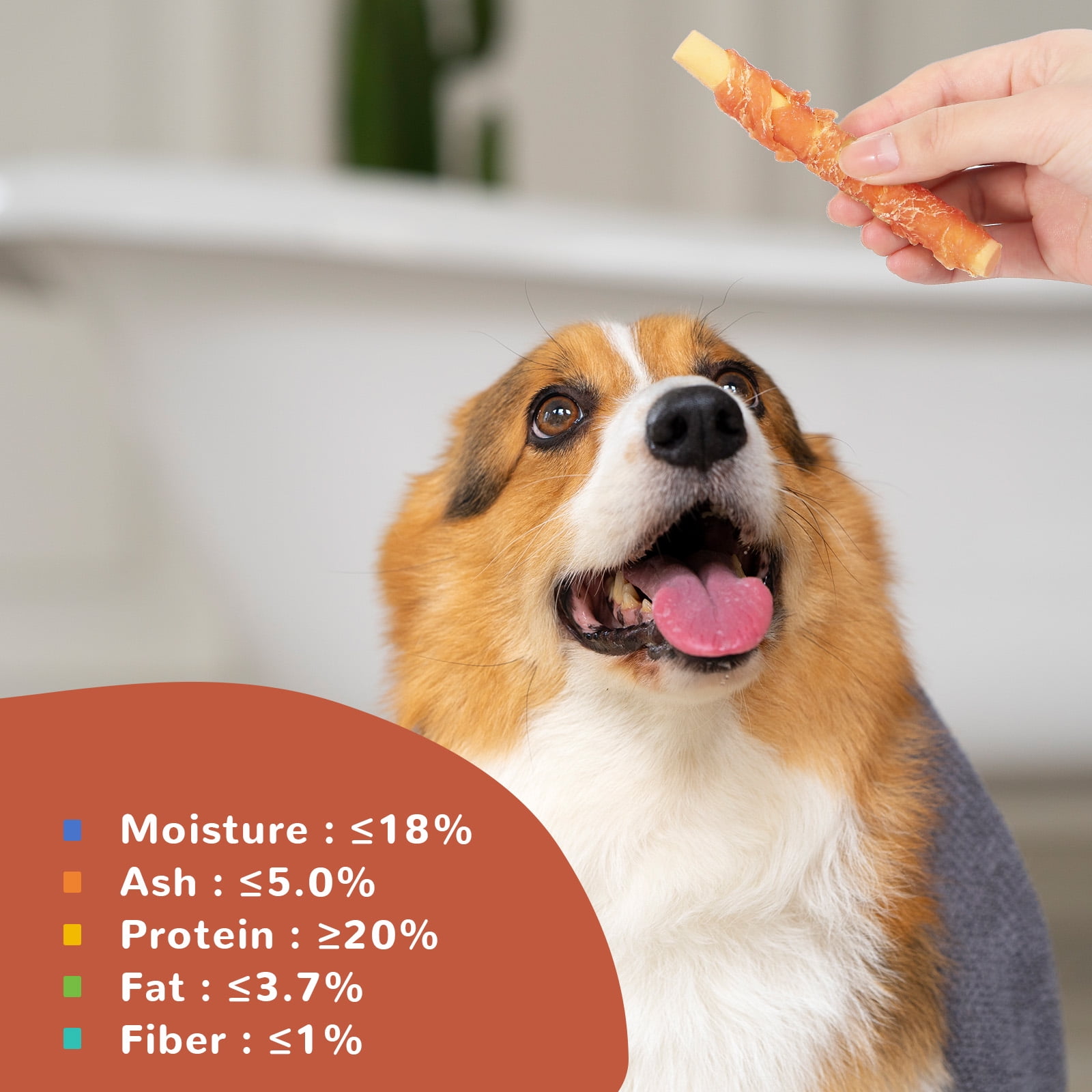 (2 pack) PAWUP Chicken Wrapped Pumpkin Biscuits Dog Treats, Rawhide Free, Promote Digestion Soft Chewy Dog Snacks for All Dogs, 10.6oz