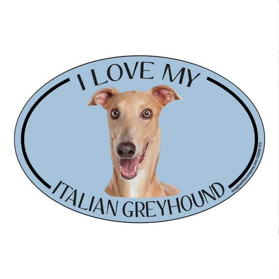 I Love my Italian Greyhound Breed Oval Magnet