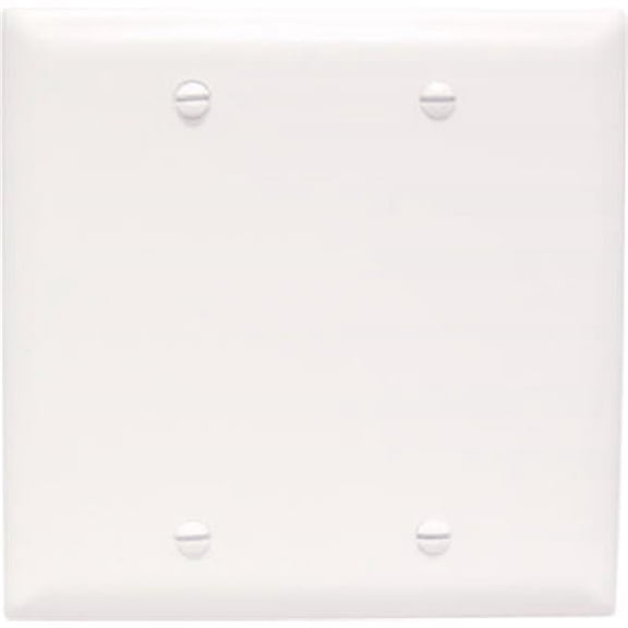 TP23WCC12 Blank Nylon Wall Plate, 2 Gang, White