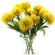 thumbnail image 1 of Paquete de 10 flores artificiales de diente de león, ramo de plantas, flores de plástico para decoración del hogar/decoración de boda-amarillo Ormromra CZJJ-HQ40-3, 1 of 5