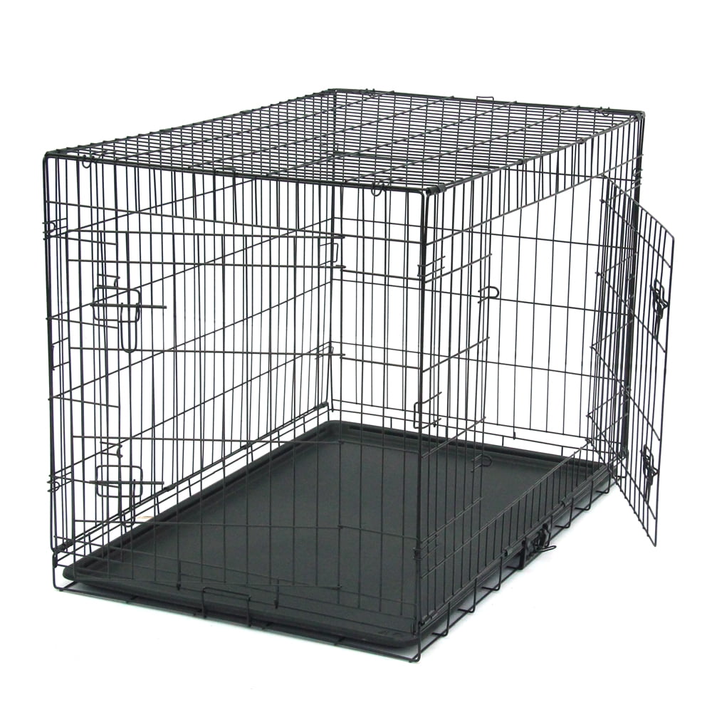 inside dog cage