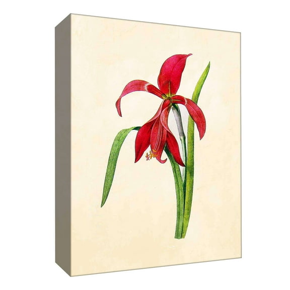 PTM Images,Ensemble De Fleurs IX, 16x20, Decorative Canvas Wall Art