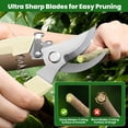 thumbnail image 2 of 2 Pack Gardening Pruning She, Sharp Bypass Blade Garden She, Stainless Steel Garden Scissors with Comfortable Grip, Hand Pruners for Trimming Branches, Flowers, Plants, Fruit Trees & Vegetables, 2 of 4