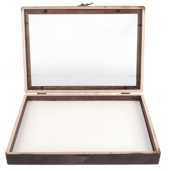 LAMIRO Insect Display Case with Clear Top and Foam Pin Board