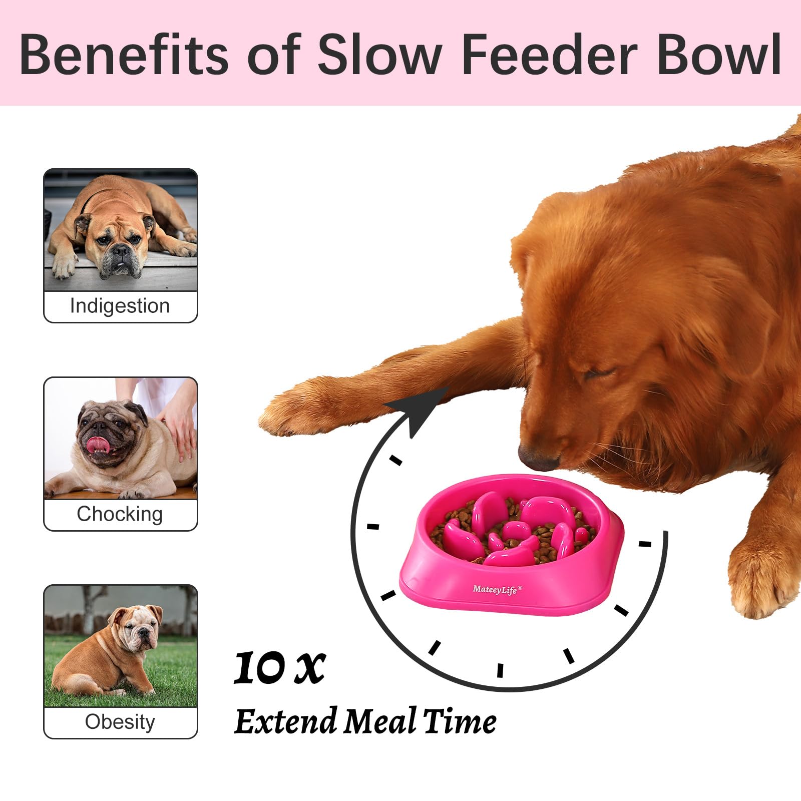MateeyLife Slow Feeder Dog Bowl Maze Puzzle photo 2