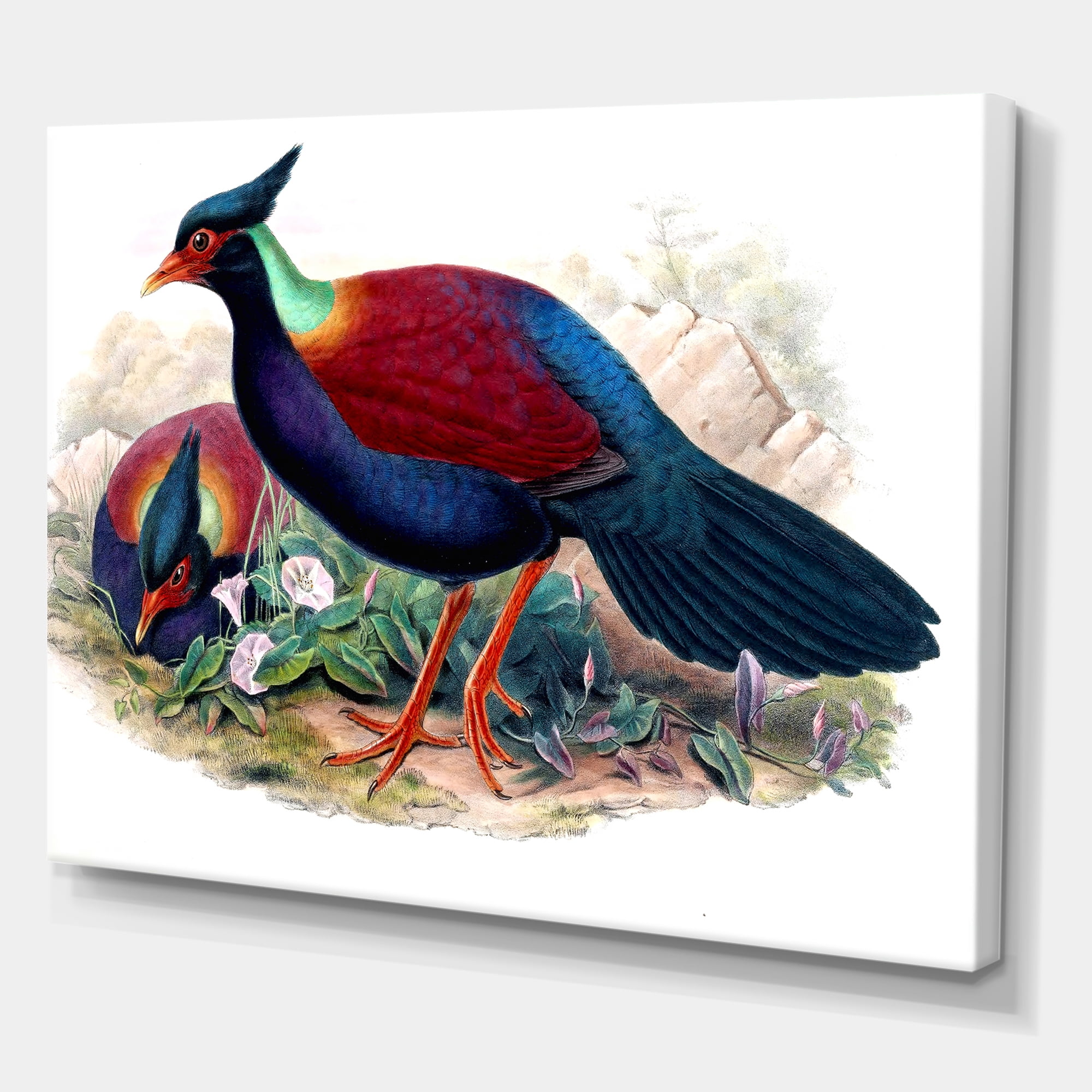 Designart ' Ancient Birds In The Wild II ' Traditional Canvas Wall Art Print