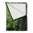 thumbnail image 2 of Appalachian Soft Flannel Fleece Throw Blanket, Oconaluftee River at Smoky Mountains National Park, Cozy Plush for Indoor and Outdoor Use, 50" x 60", Lime Green Charcoal Grey, by Ambesonne, 2 of 5