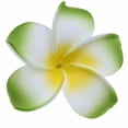 thumbnail image 1 of Pinzas para el cabello Plumeria para mujeres y niñas, 1 of 4