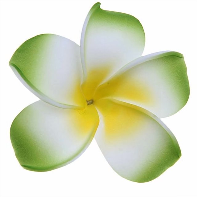 Pinzas para el cabello Plumeria para mujeres y niñas