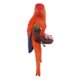 thumbnail image 3 of Adorno de pájaro perfecl resina modelo Animal rojo, 3 of 8