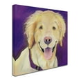 thumbnail image 3 of Trademark Fine Art "Alex" Canvas Art by Pat Saunders-White, 3 of 4