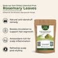 thumbnail image 2 of Rosemary Leaves for Hair Growth & Skin Care – Natural Hair Fall & Dandruff Treatment, DIY Hair Rinse, Skin Toner, Anti-Aging & Glowing Skin, 2 of 4