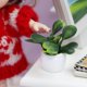 thumbnail image 3 of 4 Pieces Modern 1/12 Potted Plants Fairy Room Bedroom Decor Zulema none, 3 of 8