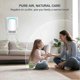 thumbnail image 5 of 2025 Air Ionizers for Home 3-Pack,Negative Ion Generator EU SZRH A-R2408, 5 of 5