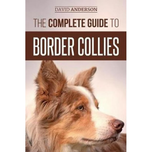 Border collie pup feeding guide hotsell