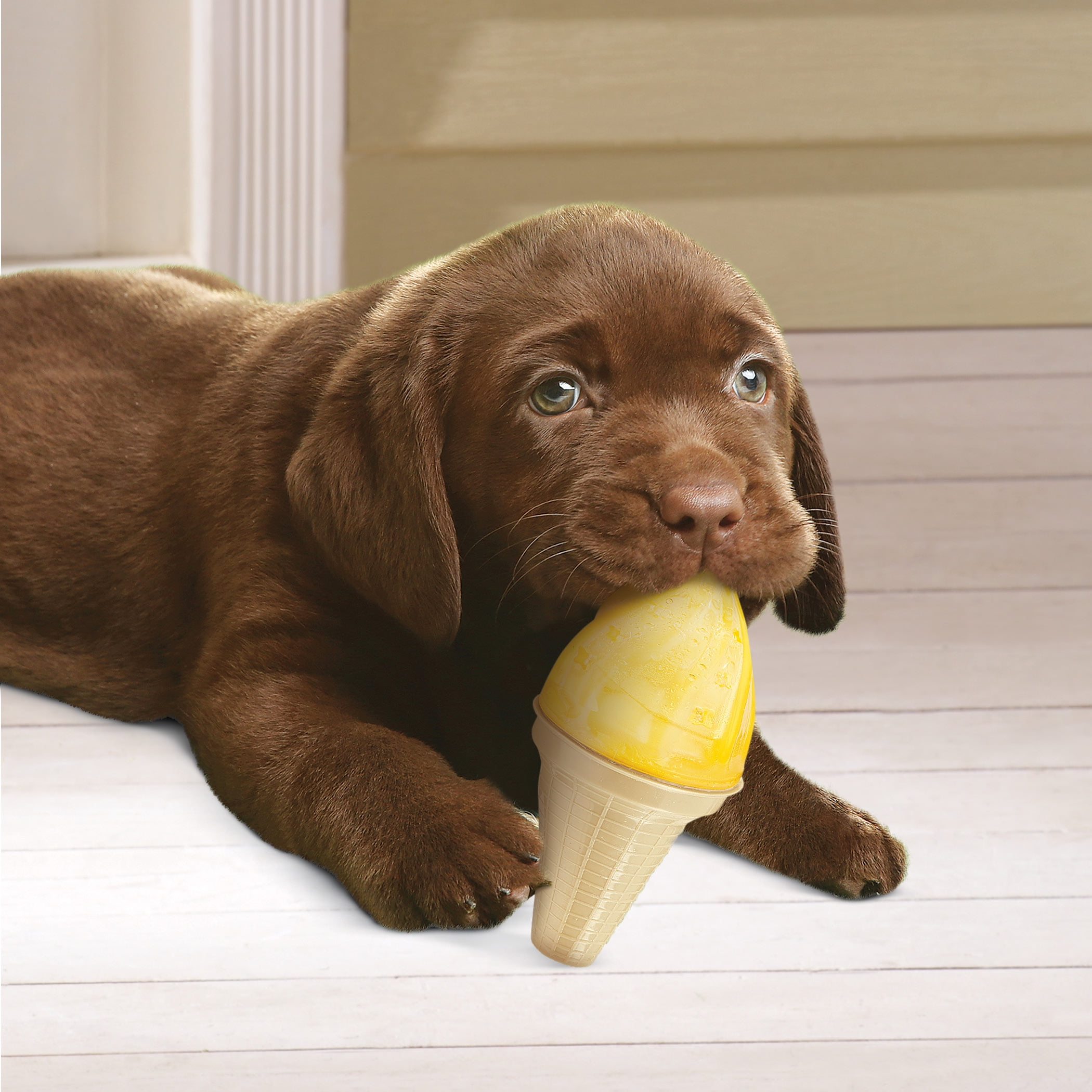ice cream for dogs walmart