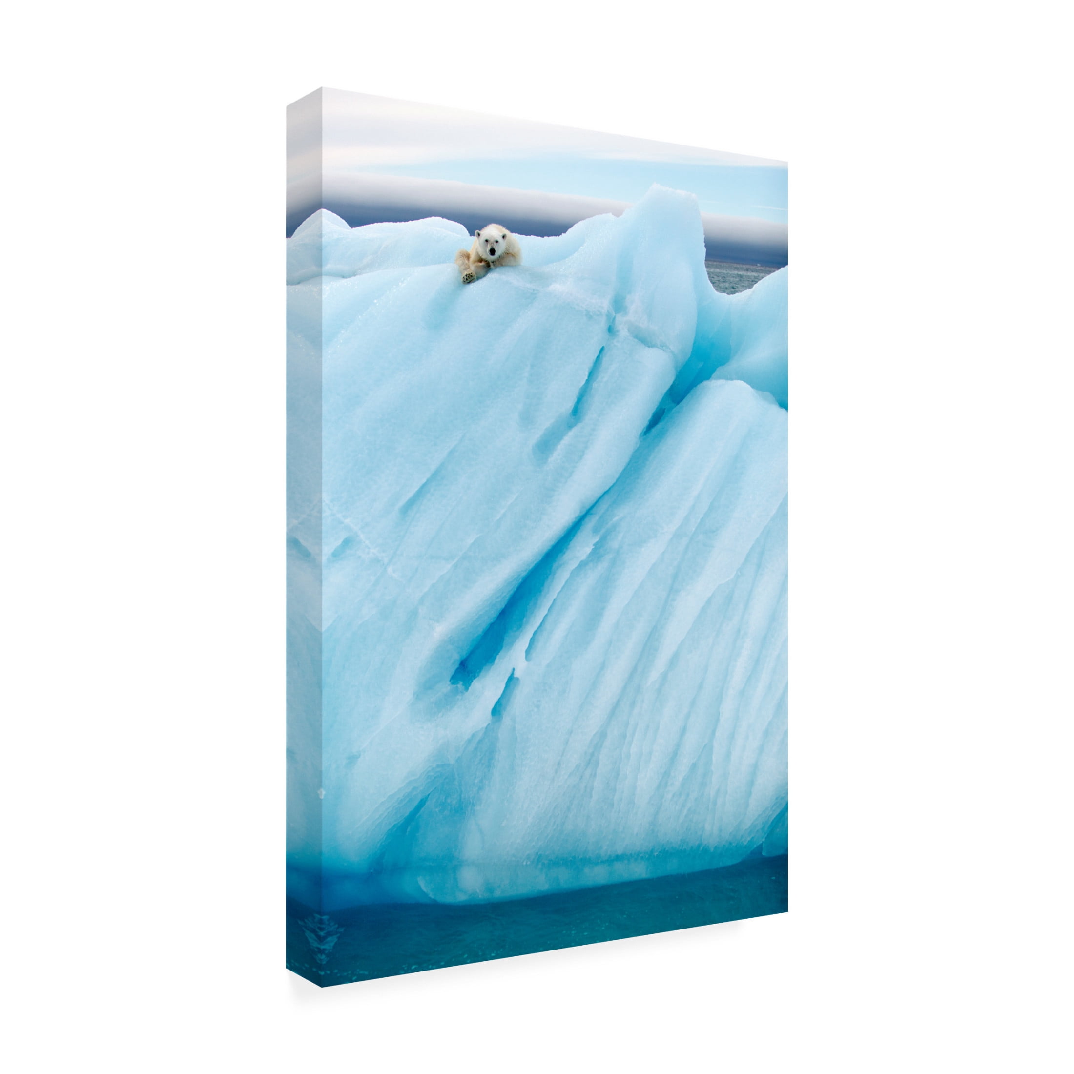 Canvas Wall Art - Dionisis Gemos Gil Raga 'Observing' Wall Art for Living Room, Bedroom, or Office Décor by Trademark Fine Art - 12 x 19 Inches