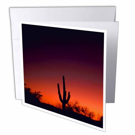 3dRose Sabino Canyon, Greeting Cards, 6 x 6 inches, set of 12