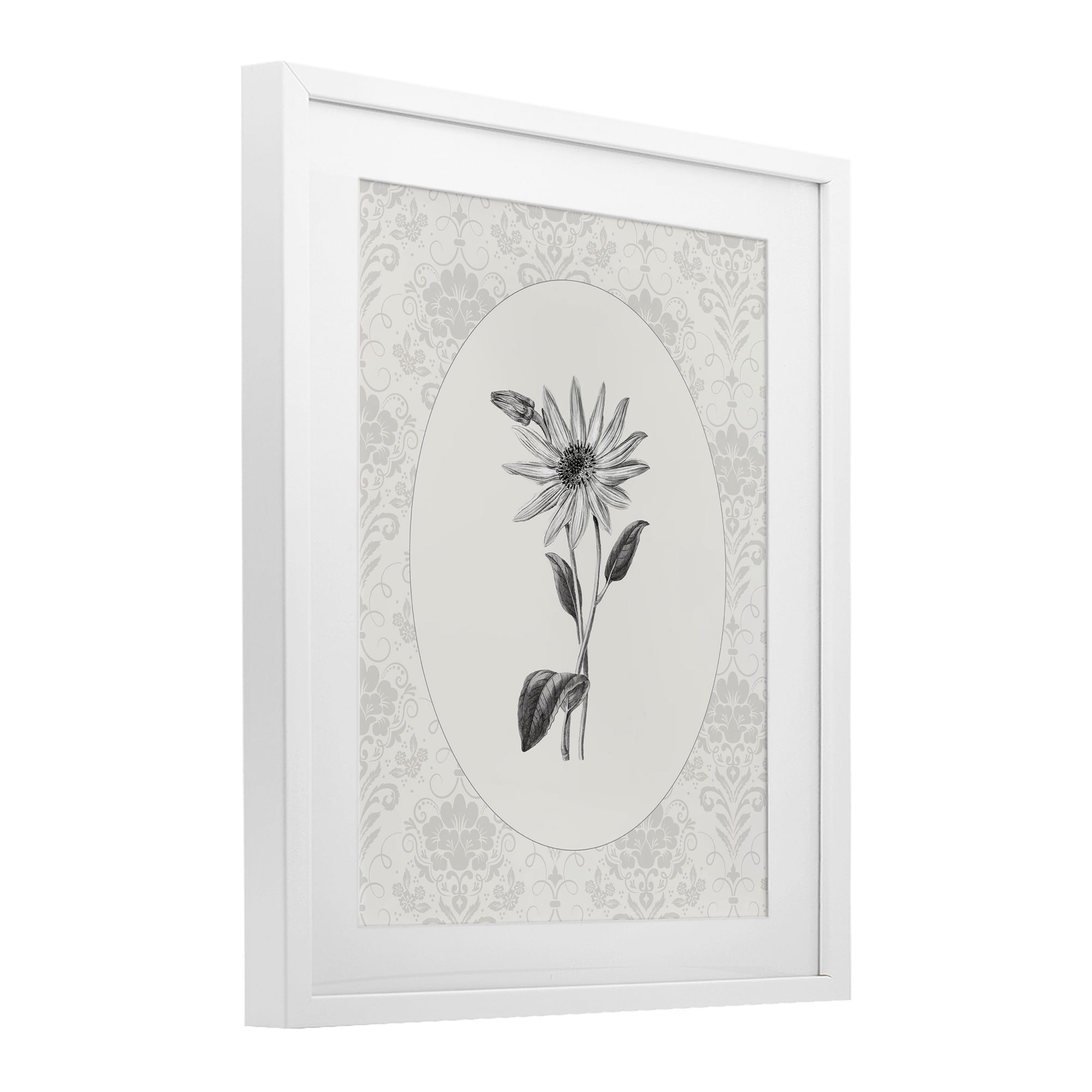 Stupell Industries Antique Botanical & Lace White Framed Print Under Glass, design by CAD Designs