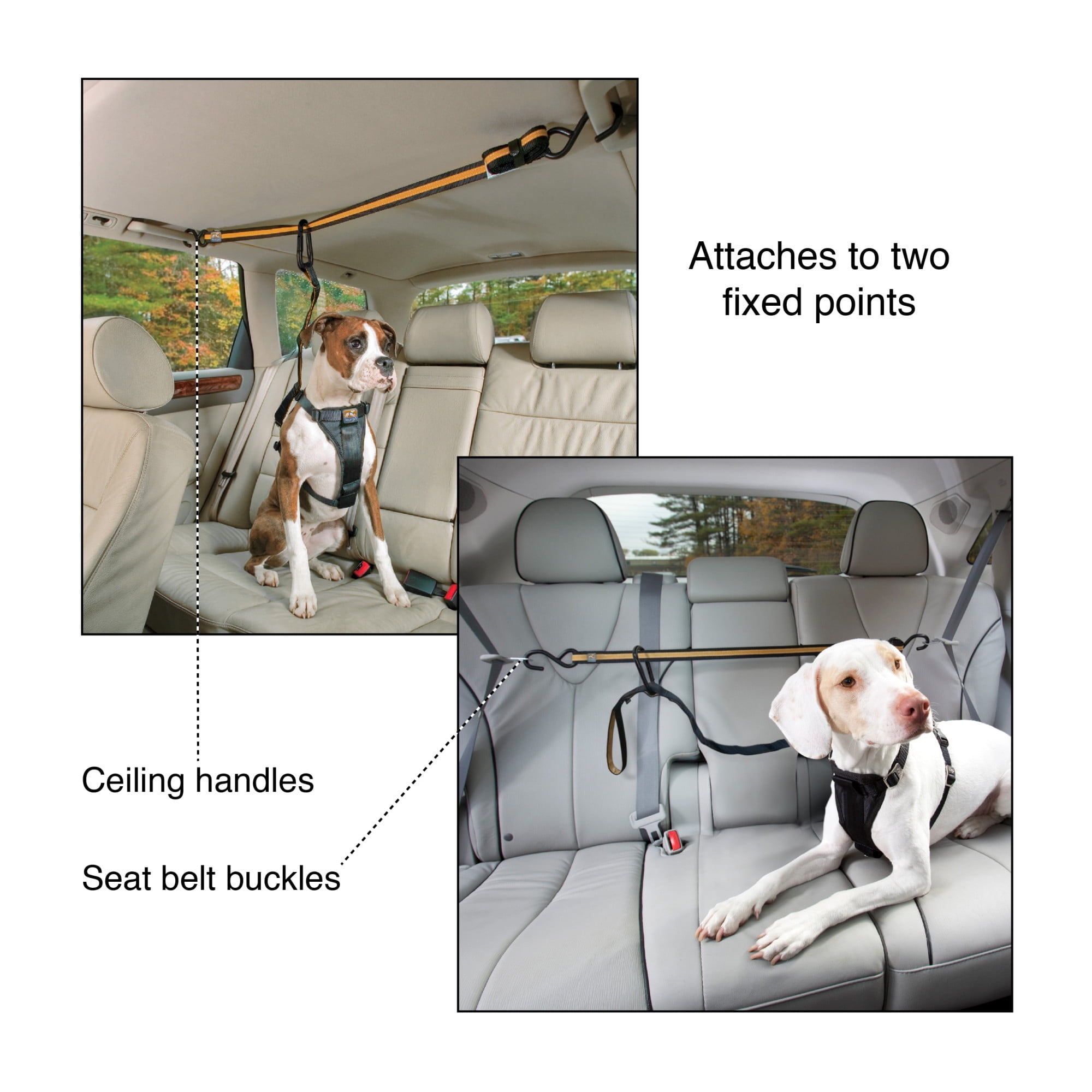 Kurgo Auto Zipline for Dogs, Adjustable Dog Safety Belt Leash, Pet Seat Belt Tether, Reduce Distracted Driving, Includes Dog Leash & Carabiner Clips, 6 feet