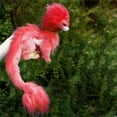 thumbnail image 5 of 60cm Animal Dragon Plush Doll Red Dragon Toy Animal Doll For Families and Dragon Lovers Birthday Gifts Halloween Dolls, 5 of 10