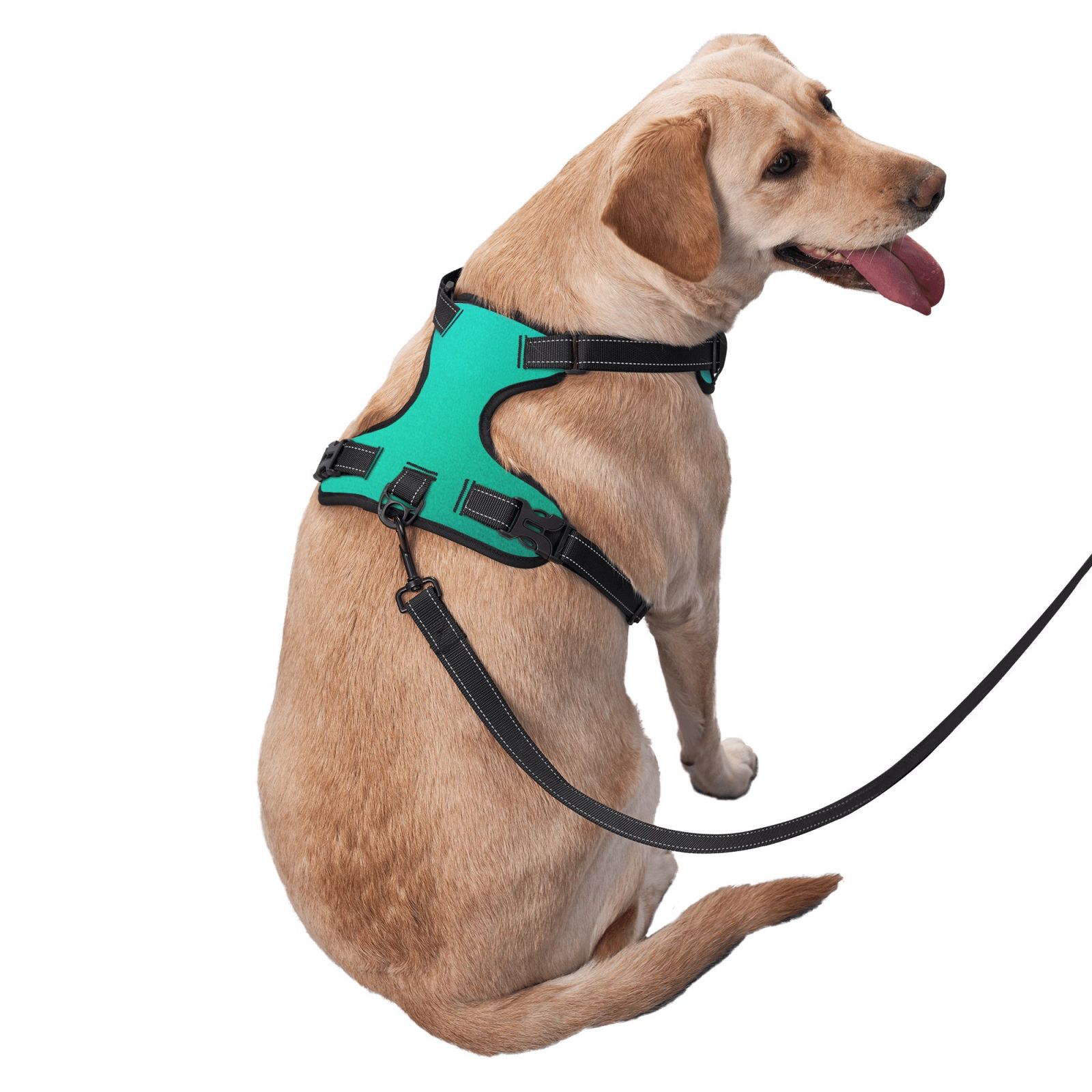 Fuzoiu Turquoise Light Blue Print Reflective Dog Harness,Adjustable, Breathable Pet Vest,Dog Harness No Pull,No Choke Pet Vest for Small, Medium, and Large Dogs-Small