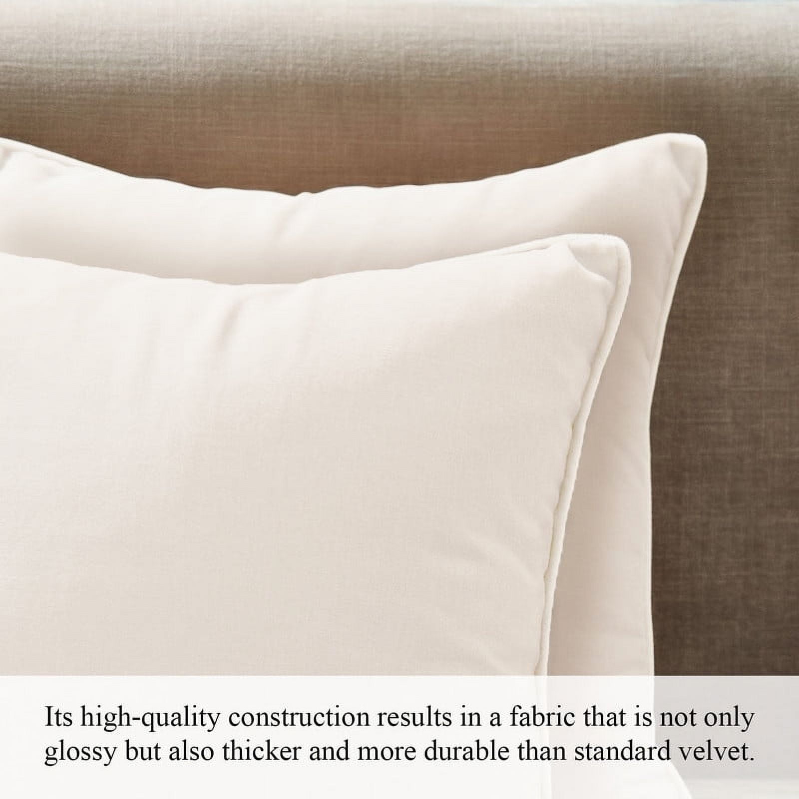 A1HC Set of 2 Luxurious Soft Velvet Throw Pillow Covers Only, 24"x24", Cream, Decorative Cushion Covers with Hidden YKK Zipper for Sofa or Bed