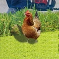 thumbnail image 2 of Lawn Decorations Outdoor, Yard Decorations, Chicken Ornament, Metal Yard Art OutdoorandGarden, 15X22 In, Warm Brown, 1 Pc, 2 of 7