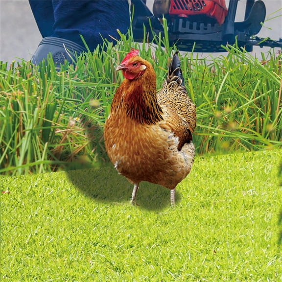 TOFOTL Realistic Acrylic Chicken Statues Garden Decor
