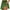 Green, variant on Jacenvly New Skirt Shorts for Women Fashion Women's Summer Pleated Tennis Skirts Athletic Stretchy Short Yoga Fake Two Piece Trouser Skirt Shorts Comfortable Green