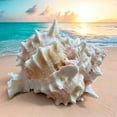 thumbnail image 2 of Large Murex Conch Seashell Pink White Spiky Real Ocean Shells Natural Beach Seashells Home Decor Candle Art Craft Sea Decoration, 2 of 5