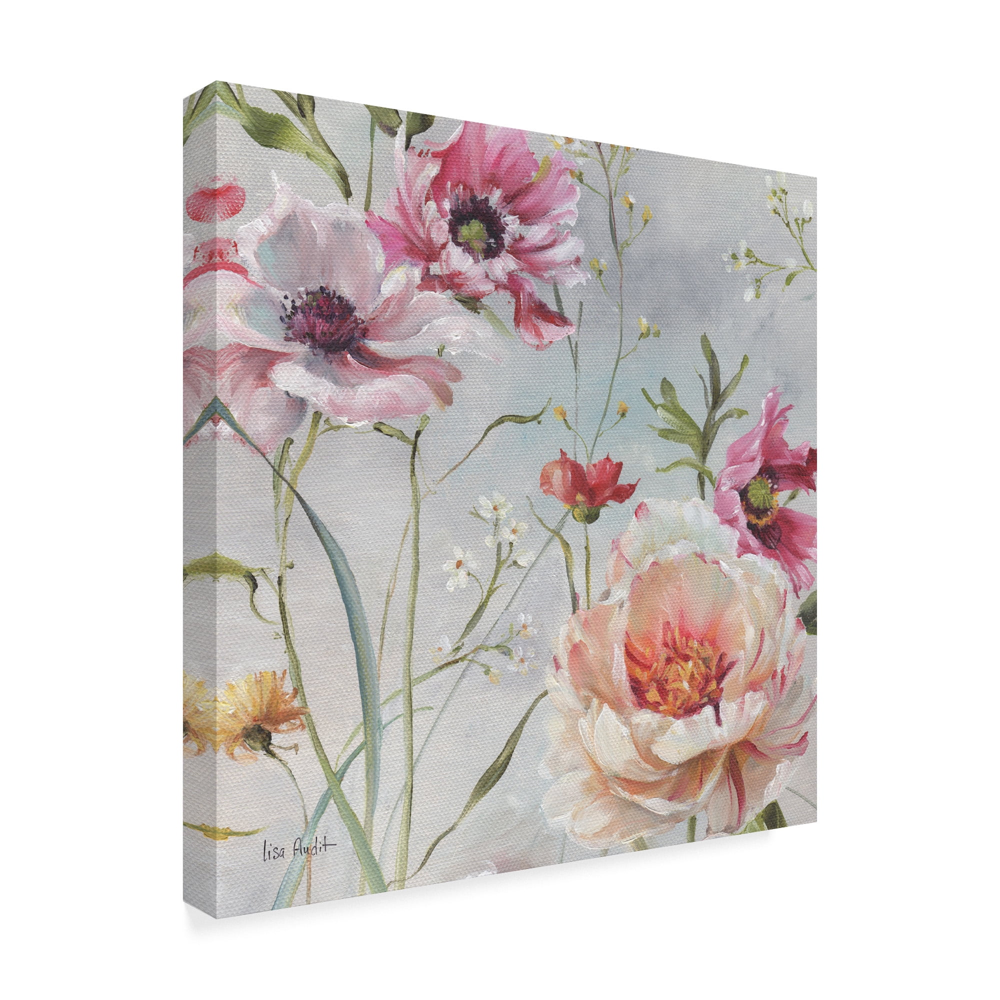 Trademark Fine Art 'Antique Garden III' Canvas Art by Lisa Audit