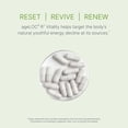 thumbnail image 5 of Nu Skin Pharmanex ageLOC Youth Span Dietary Supplement, 120 Capsules, 5 of 7