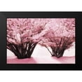 thumbnail image 2 of Geyman, Vitaly 18x13 Black Modern Framed Museum Art Print Titled - Blossom Heaven II, 2 of 5