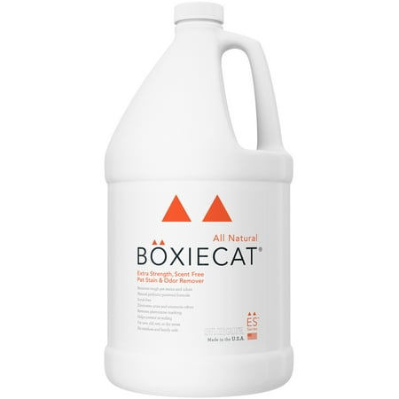 UPC: 0855978006079 | Boxiecat Premium Extra Strength Stain & Odor Remover 24 oz. Ready to Use